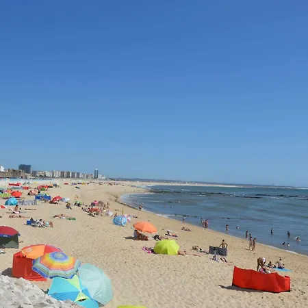Mar De Fulles
